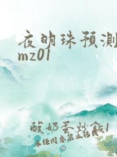 夜明珠预测 ymz01