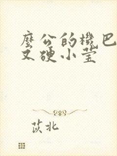 么公的机巴又粗又硬小莹