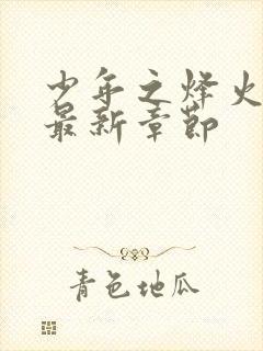 少年之烽火岁月最新章节