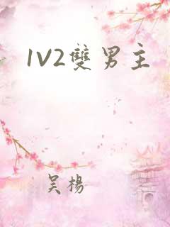 1V2双男主