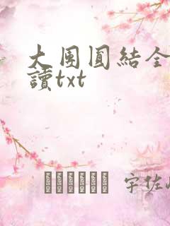 大团圆结全文阅读txt