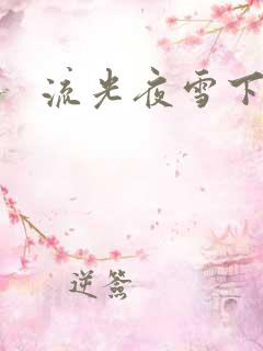 流光夜雪下载