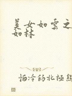 美女如云之高手如林