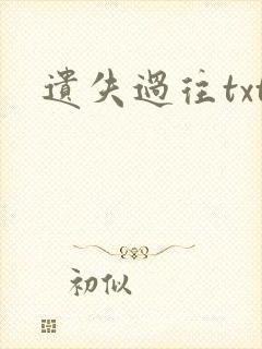 遗失过往txt