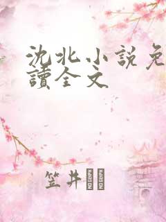 沈北小说免费阅读全文