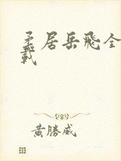 柔居岳飞全传下载