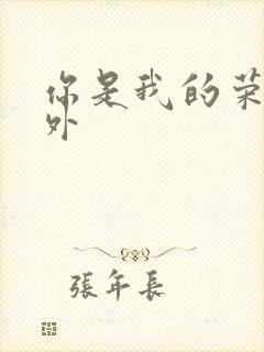 你是我的荣耀番外