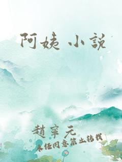 阿姨 小说