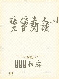 扶摇夫人.小说免费阅读