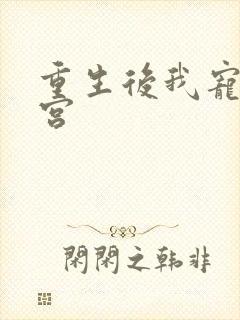 重生后我宠冠东宫