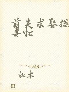 前夫求娶总裁追妻忙