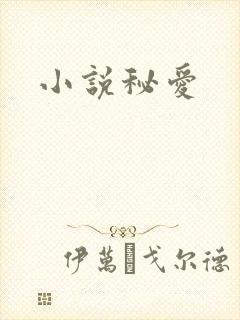 小说秘爱