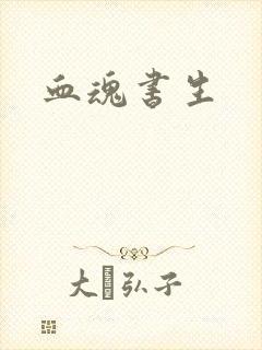 血魂书生