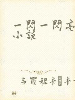 一闪一闪亮星星小说