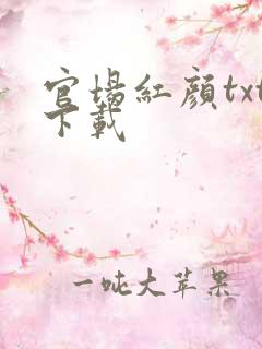 官场红颜txt下载