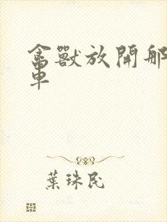 禽兽放开那辆跑车