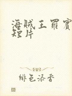 海贼王罗宾被h短片