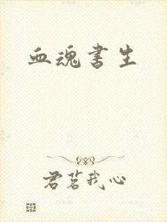 血魂书生