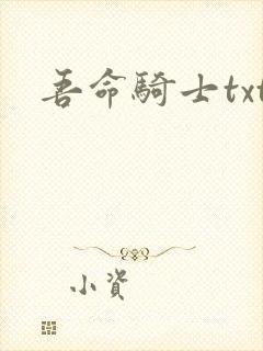 吾命骑士txt
