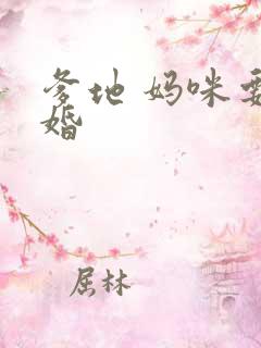 爹地 妈咪要逃婚