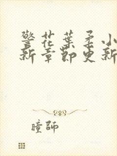 警花叶柔小说最新章节更新