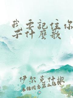 我要记住你的样子什么歌