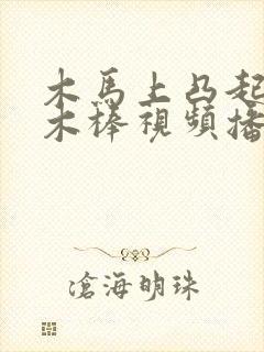 木马上凸起电动木棒视频播放