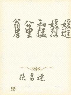 翁公和媛媛在厨房里猛烈进出