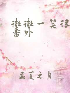 微微一笑很倾城番外