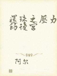 还珠之压力山大的后宫