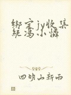 绑定jy收集系统冯小怜