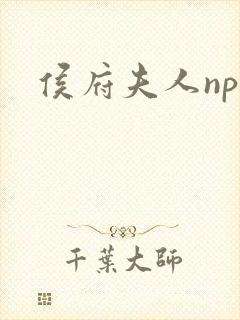侯府夫人np