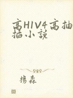 高H1V4高抽插小说