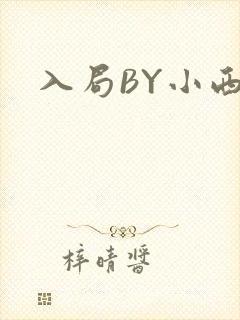 入局BY小西