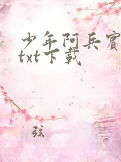 少年阿兵宾小说txt下载