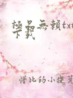 极品无赖txt下载