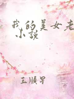 我的美女老婆们 小说