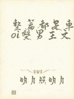 整篇都是车的doi双男主文