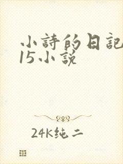小诗的日记1一15小说