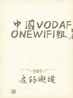 中国VODAFONEWIFI粗暴APP