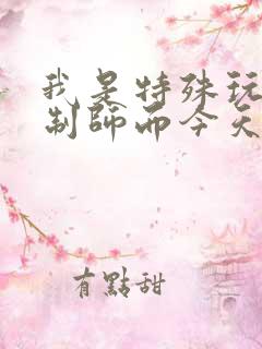 我是特殊玩具定制师而今天的客户