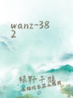 wanz-382
