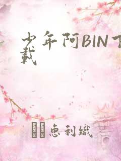 少年阿BIN下载