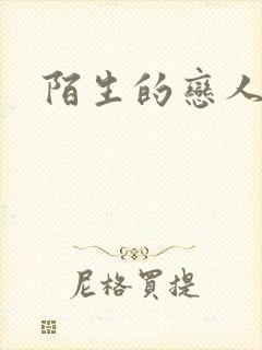陌生的恋人小说