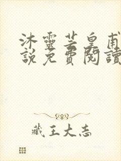 沐灵芸皇甫霆小说免费阅读