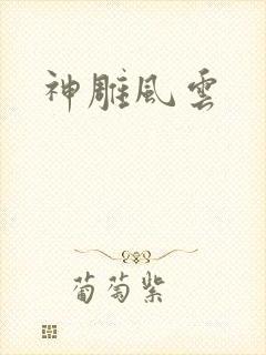 神雕风云