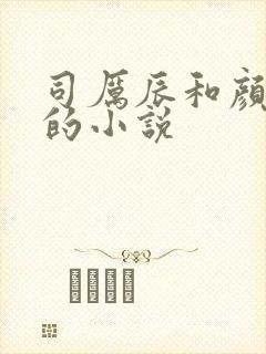 司厉辰和颜辞兮的小说