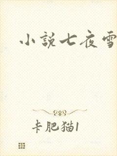 小说七夜雪下载