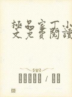 极品家丁小说全文免费阅读