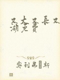 又大又长又租高湖免费